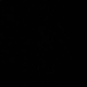 Meet your Posher, Ashantae